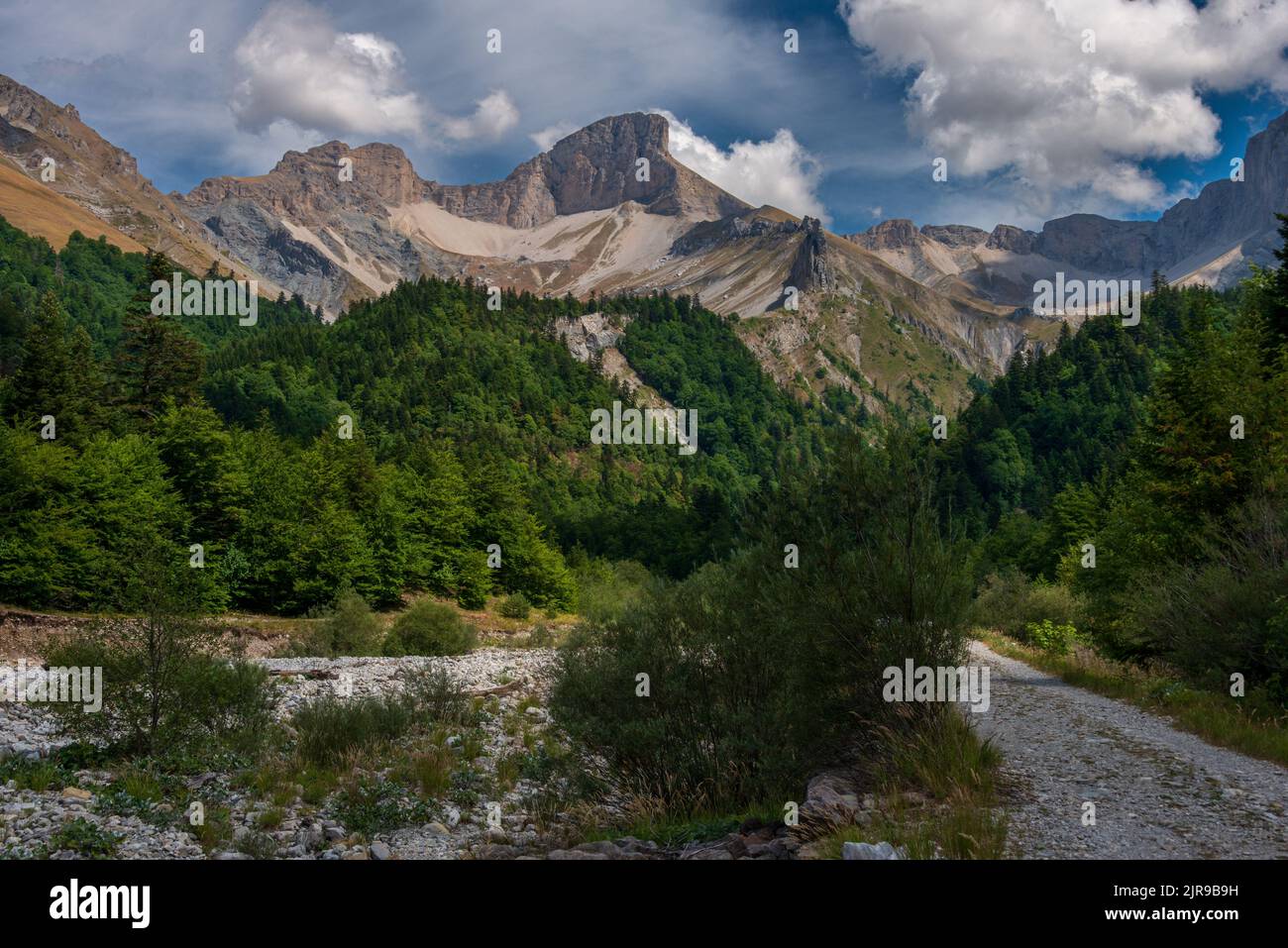 Bella vista delle montagne a lus la croix haute, nel drome delle alpi francesi, vacanze avventura . Foto Stock