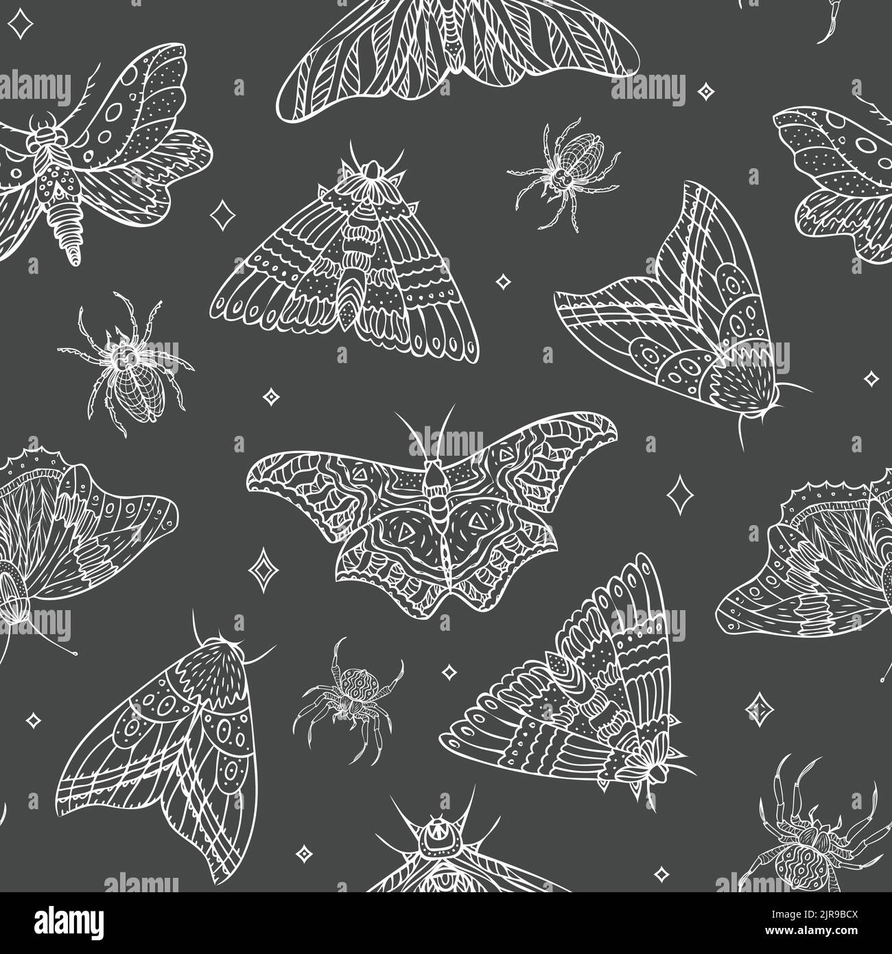 Modello senza giunture di farfalle e ragni notturni vettoriali. Illustrazione vettoriale Illustrazione Vettoriale