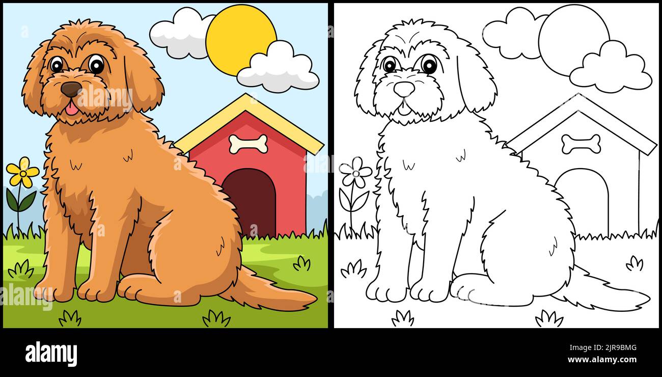 Goldendoodle cane colorazione pagina Illustrazione Illustrazione Vettoriale