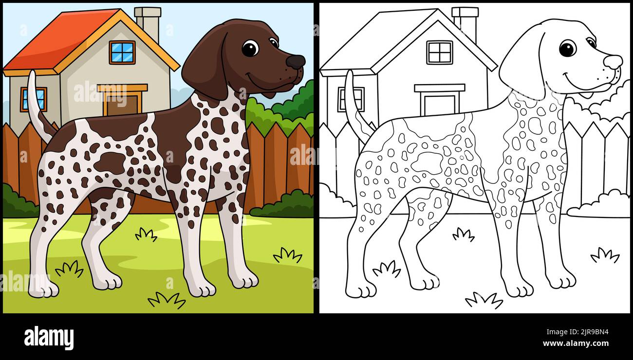 Tedesco puntatore Shorthaired Dog Coloring Page Illustrazione Vettoriale
