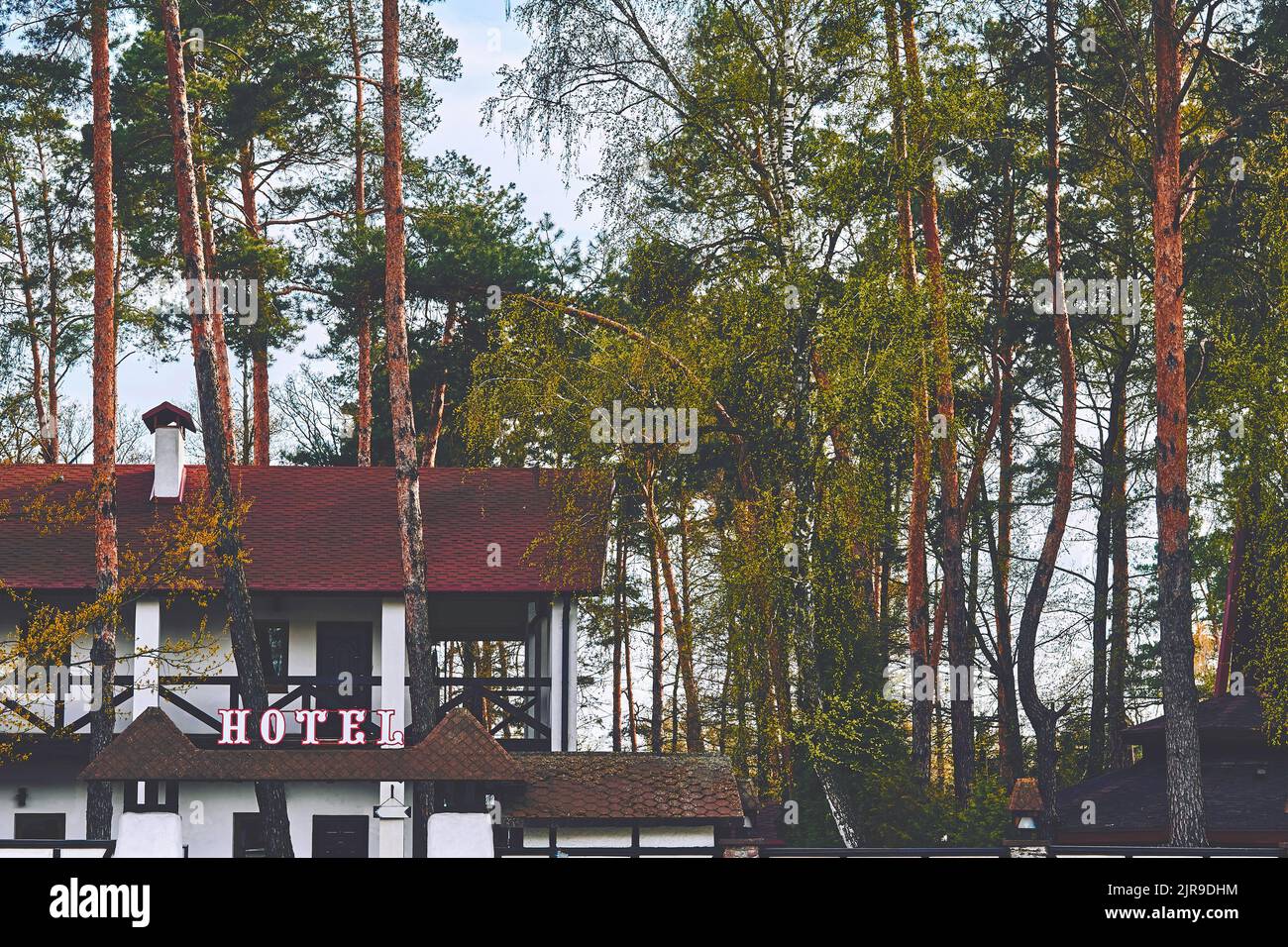 Tranquillo hotel casa nella foresta tra alti pini e betulle Foto Stock