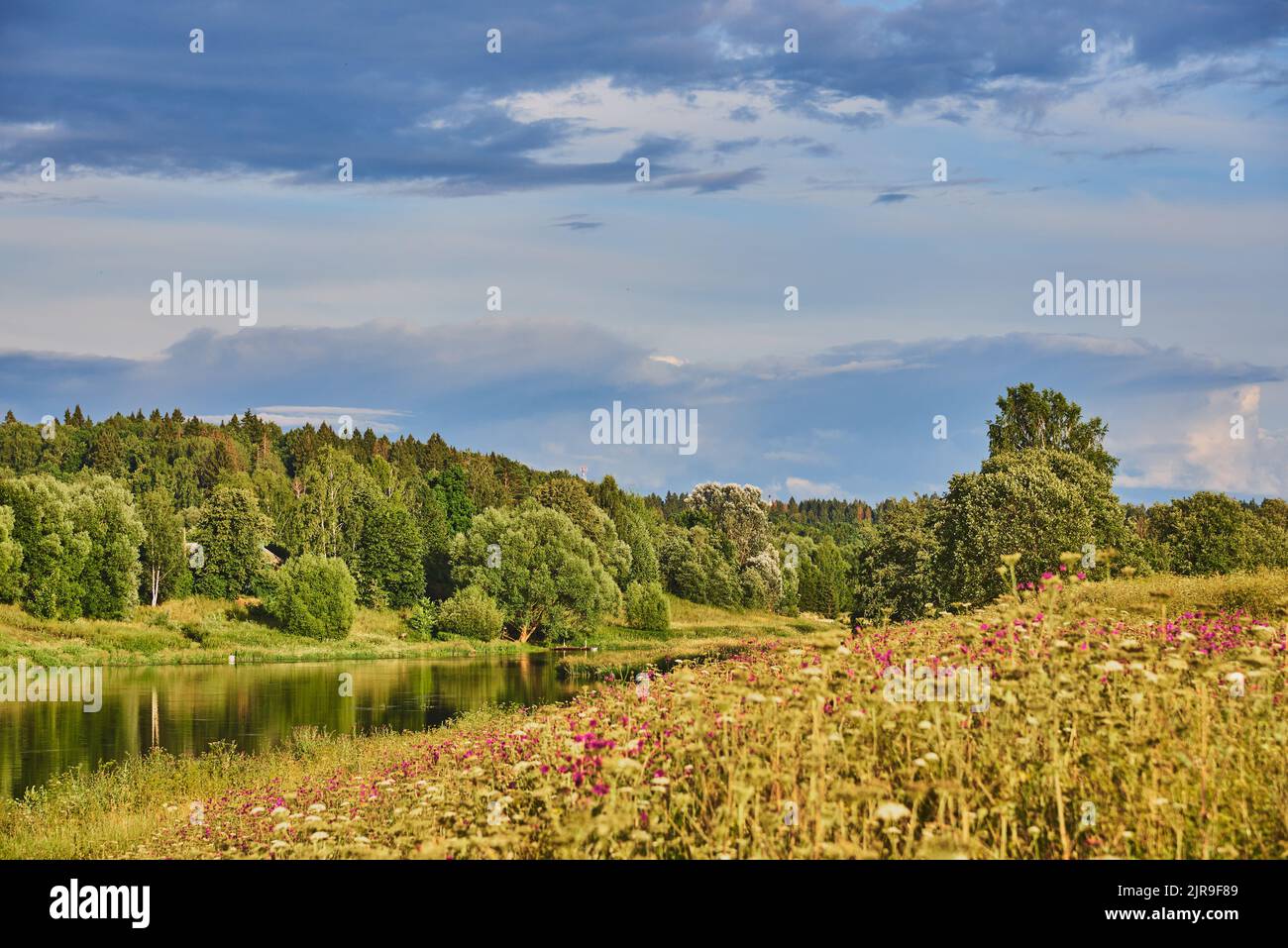 Il fiume scorre tra le rive fiorenti. Foto Stock