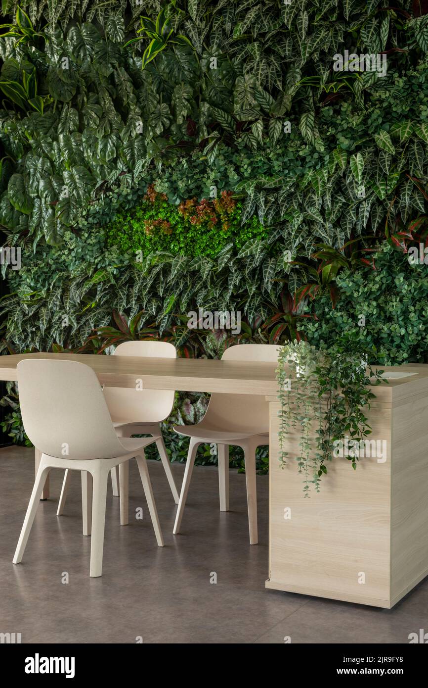 Soggiorno verde con sedie e tavolo, giardino verticale - foto stock Foto Stock