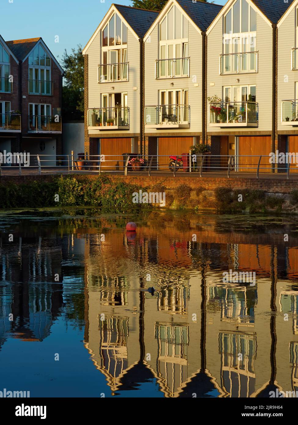 Una folaga nuota attraverso un lago, trasmettendo le increspature attraverso il riflesso ancora di uno sviluppo moderno dell'alloggiamento, illuminato dalla luce dorata di un sole di regolazione. Foto Stock