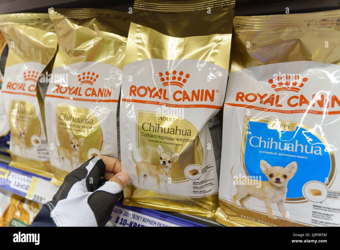 Tyumen, Russia-17 agosto 2022: Canin reale. Prodotti alimentari per cani e gatti su scaffali per animali da supermercato. Messa a fuoco selettiva Foto Stock