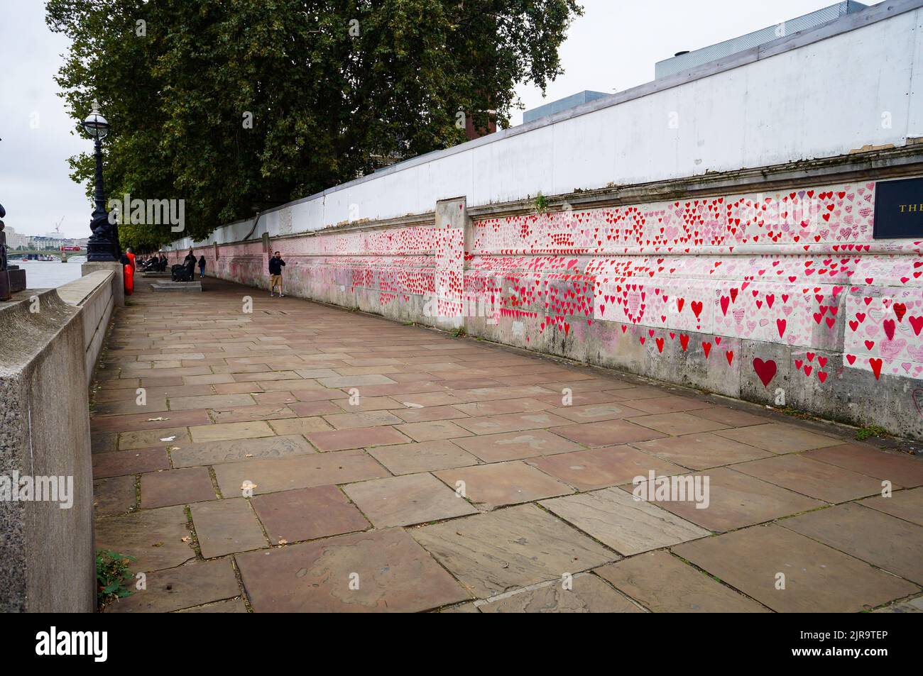 Un colpo del muro che commemora le vittime britanniche della pandemia, con il cuore per ogni vittima Foto Stock