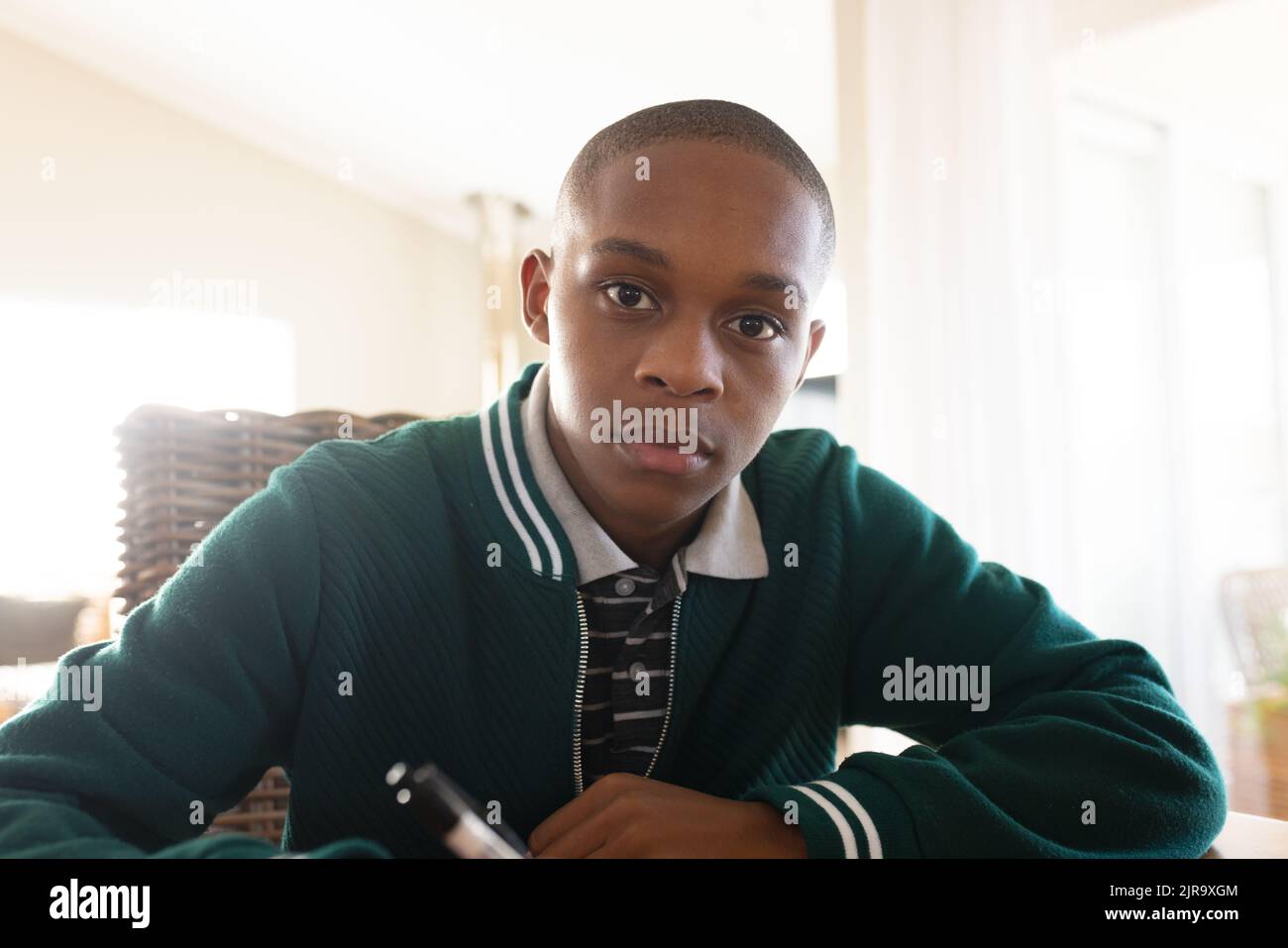 Ritratto dell'adolescente maschio afro-americano che impara e tiene la penna Foto Stock