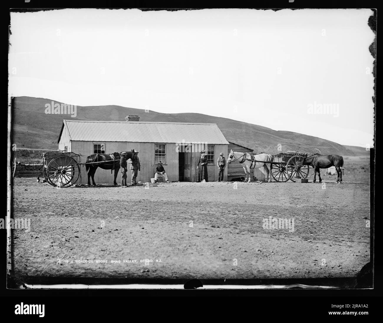 Un negozio sulla strada, Shag Valley, Otago, NZ, 1876-1880, Otago, di William Hart, Hart, Campbell & Co Foto Stock