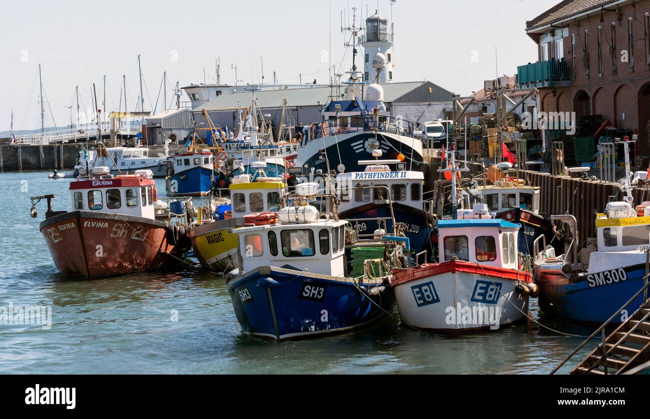 Pescherecci nell'affollato porto di Scarborough, Scarborough, North Yorkshire, Inghilterra, Regno Unito Foto Stock