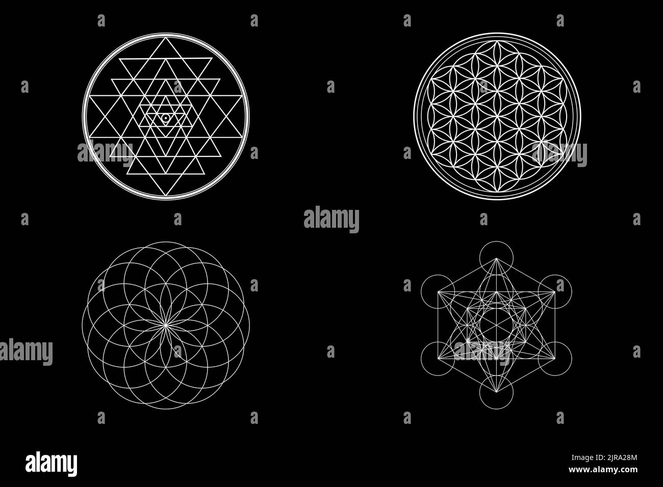 Geometria Sacra sfondo, Sri Yantra, Fiore della vita, Toro, simboli Metatron isolati su sfondo nero. Foto Stock