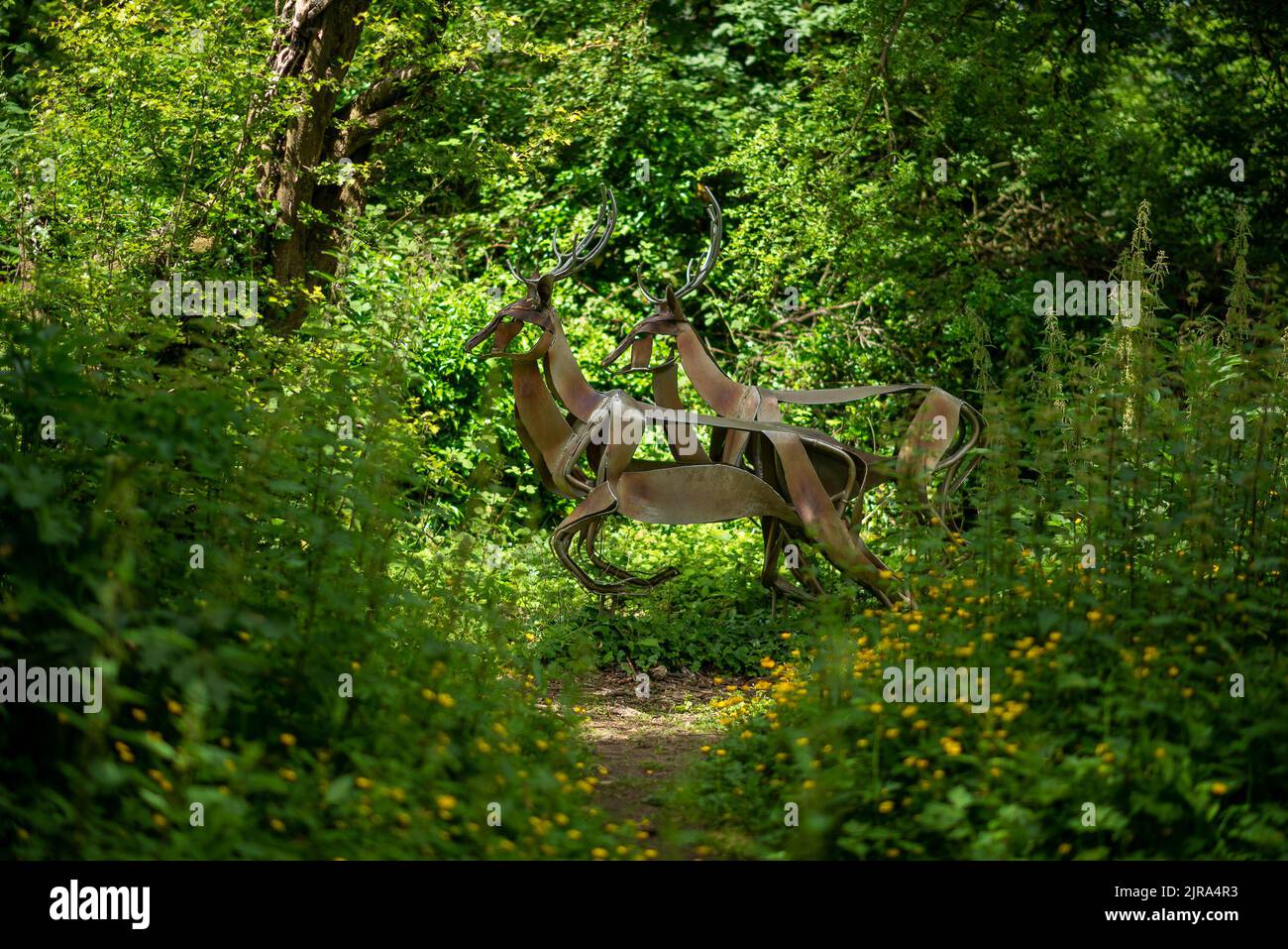 Sika Deer, 2007 anni, di Clare Bigger sul sentiero delle sculture, Crosshill Quarry, Clitheroe, Lancashire, UK Foto Stock