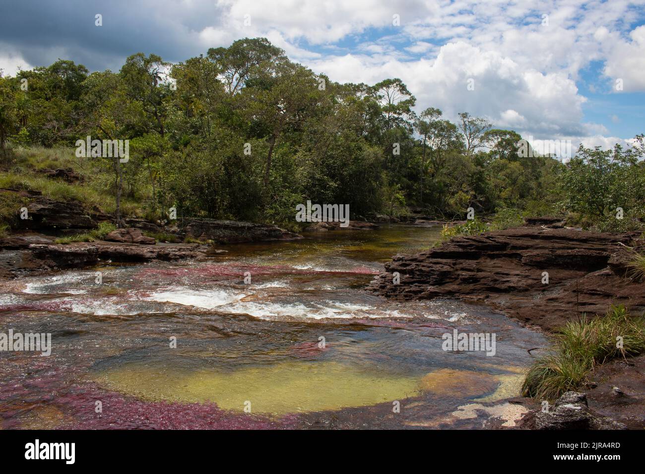 Una vista sul Cano Cristales, conosciuto come il fiume Rainbow, nel Parco Nazionale di Serrania de la Macarena in Colombia Foto Stock