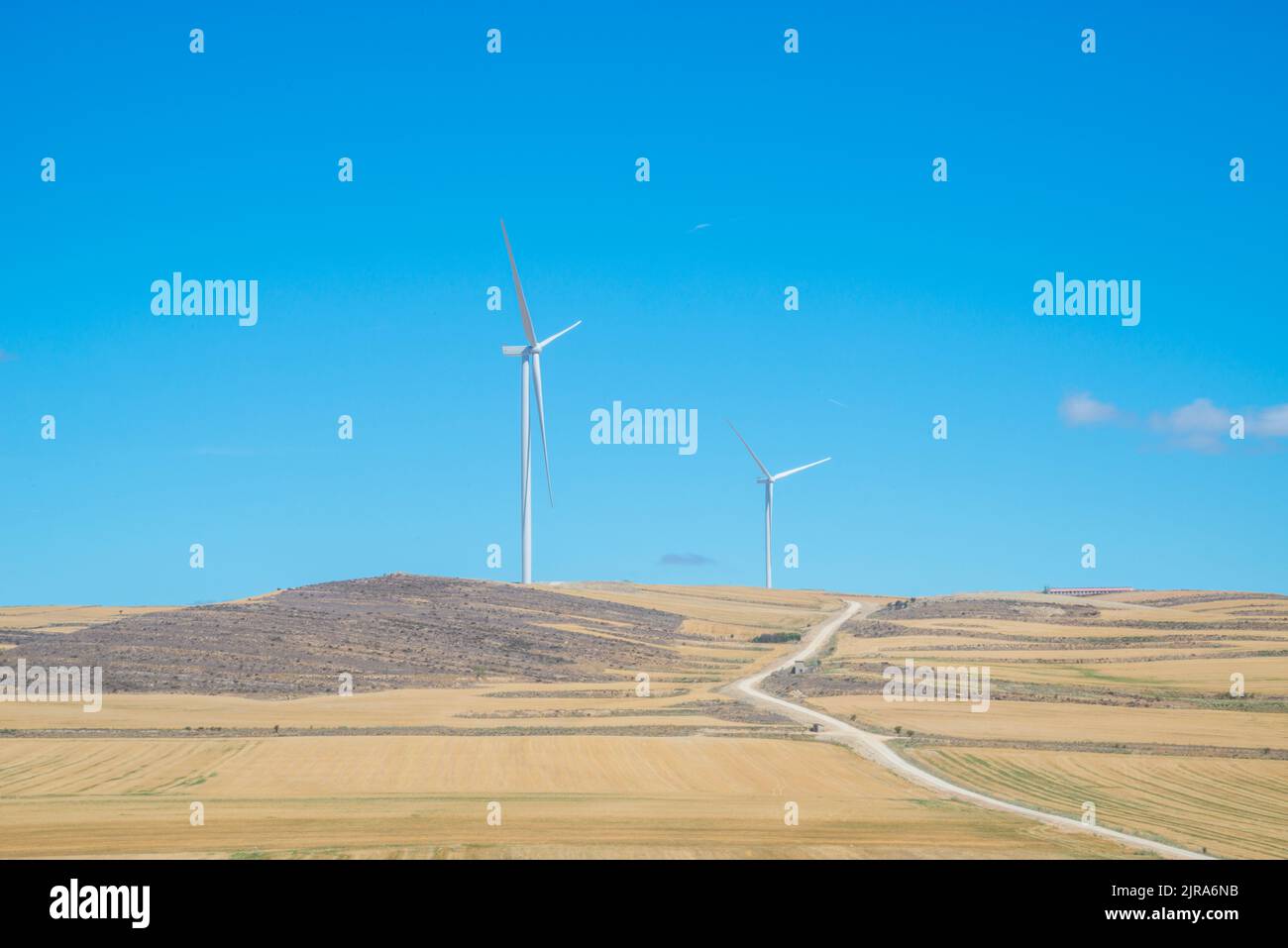 Fattoria eolica. Trebbago, provincia di Soria, Castilla Leon, Spagna. Foto Stock
