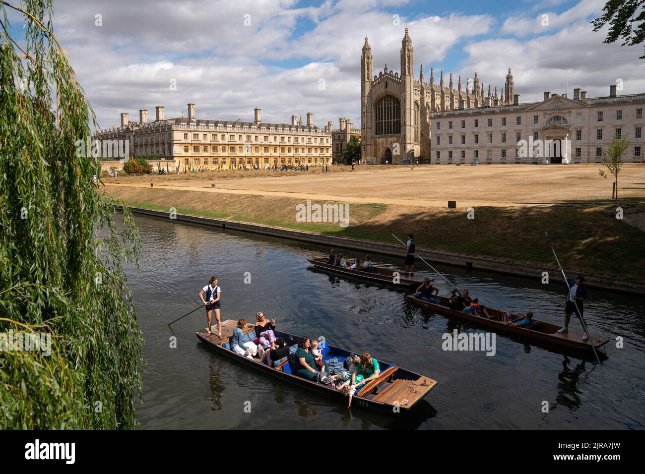 Le persone si godono un tour in barca lungo il fiume Cam a Cambridge, mentre i cavalli shire Cosmo e Boy raccolgono il prato di fiori selvatici al King's College. I cavalli pesanti della stalla Waldburg Shires stanno aiutando a tagliare il prato prima di girare e cartare il fieno su un tino tradizionale, con le balle che vengono utilizzate per propagare più prati di fiori selvatici in tutta la città di Cambridge, e il fieno offerto agli agricoltori locali come mangime invernale per il bestiame. Data immagine: Martedì 23 agosto 2022. Foto Stock