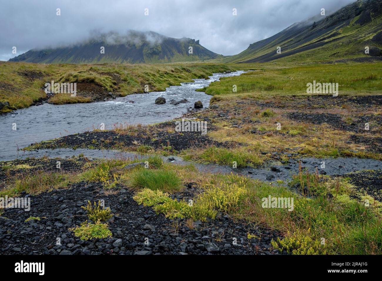 Un torrente vicino alla gola di Raudfeldsgja, Islanda Foto Stock