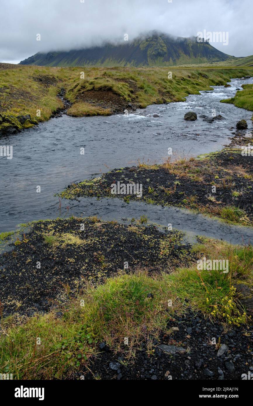 Un torrente vicino alla gola di Raudfeldsgja, Islanda Foto Stock