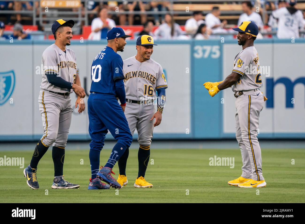 Milwaukee Brewers designato hitter Andrew McCutchen (24) ha una risata con i compagni di squadra shortstop Willy Adames (27), secondo baseman Kolten Wong (16) e. Foto Stock