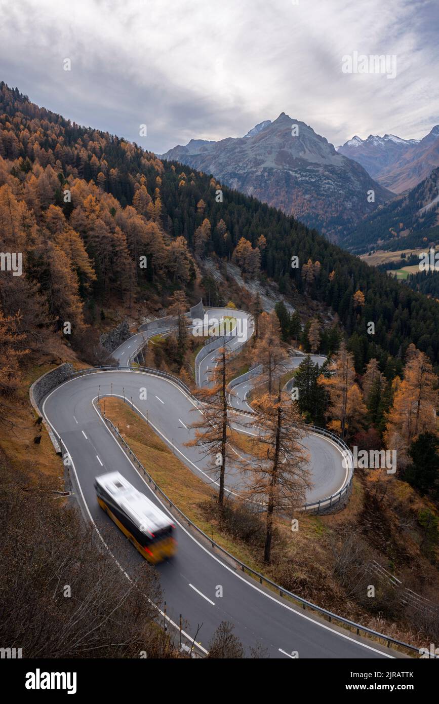 Svizzera, Grigioni, Sankt Moritz, Bus che percorre la strada del Passo Maloja Foto Stock