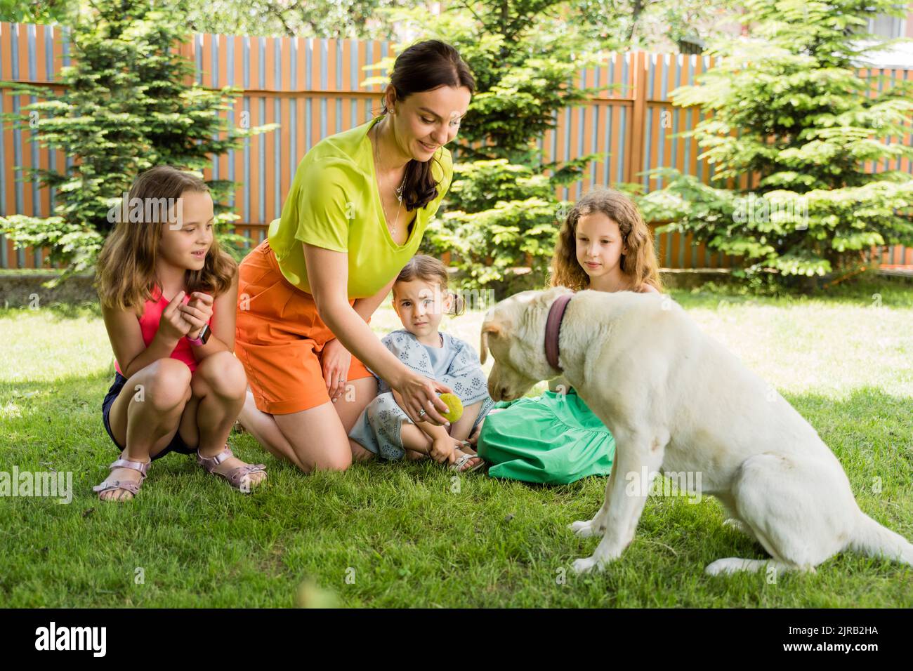 Madre sorridente che mostra la palla al cane da figlie nel cortile posteriore Foto Stock