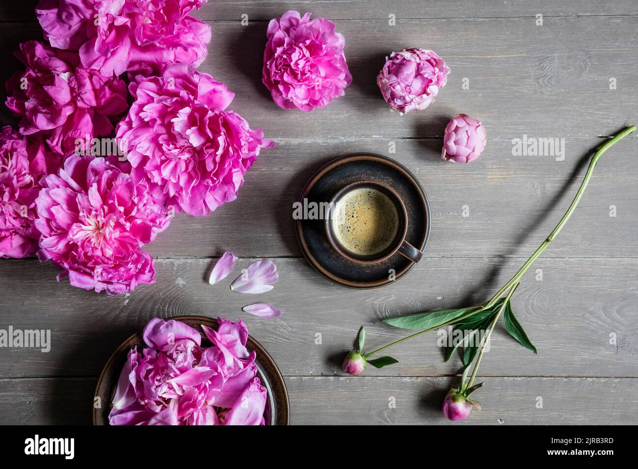 Studio shot di tazza di caffè e teste di fiori di peonia fioritura rosa giacente su sfondo di legno Foto Stock
