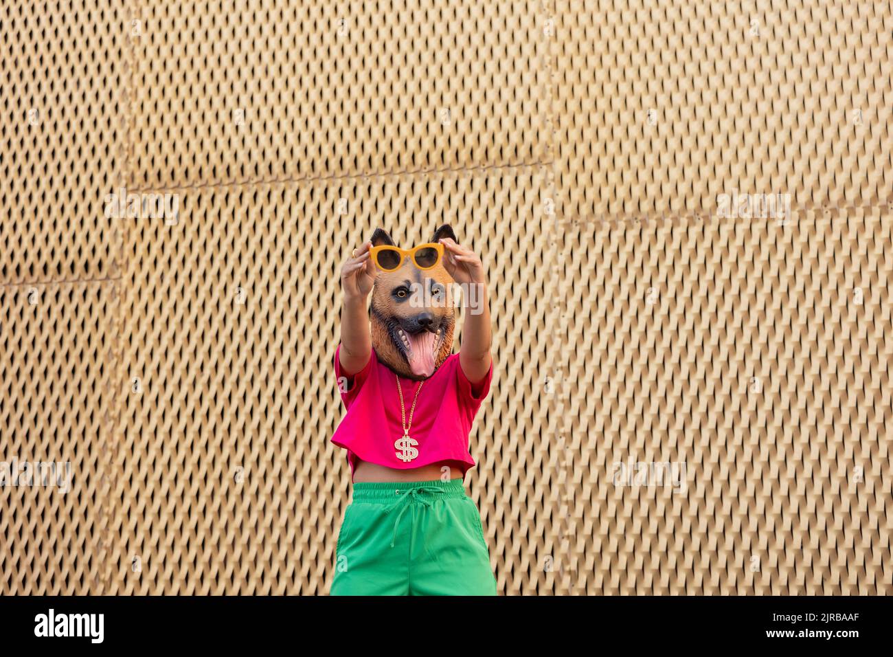 Giovane donna che indossa una maschera per cani con occhiali da sole davanti al muro Foto Stock
