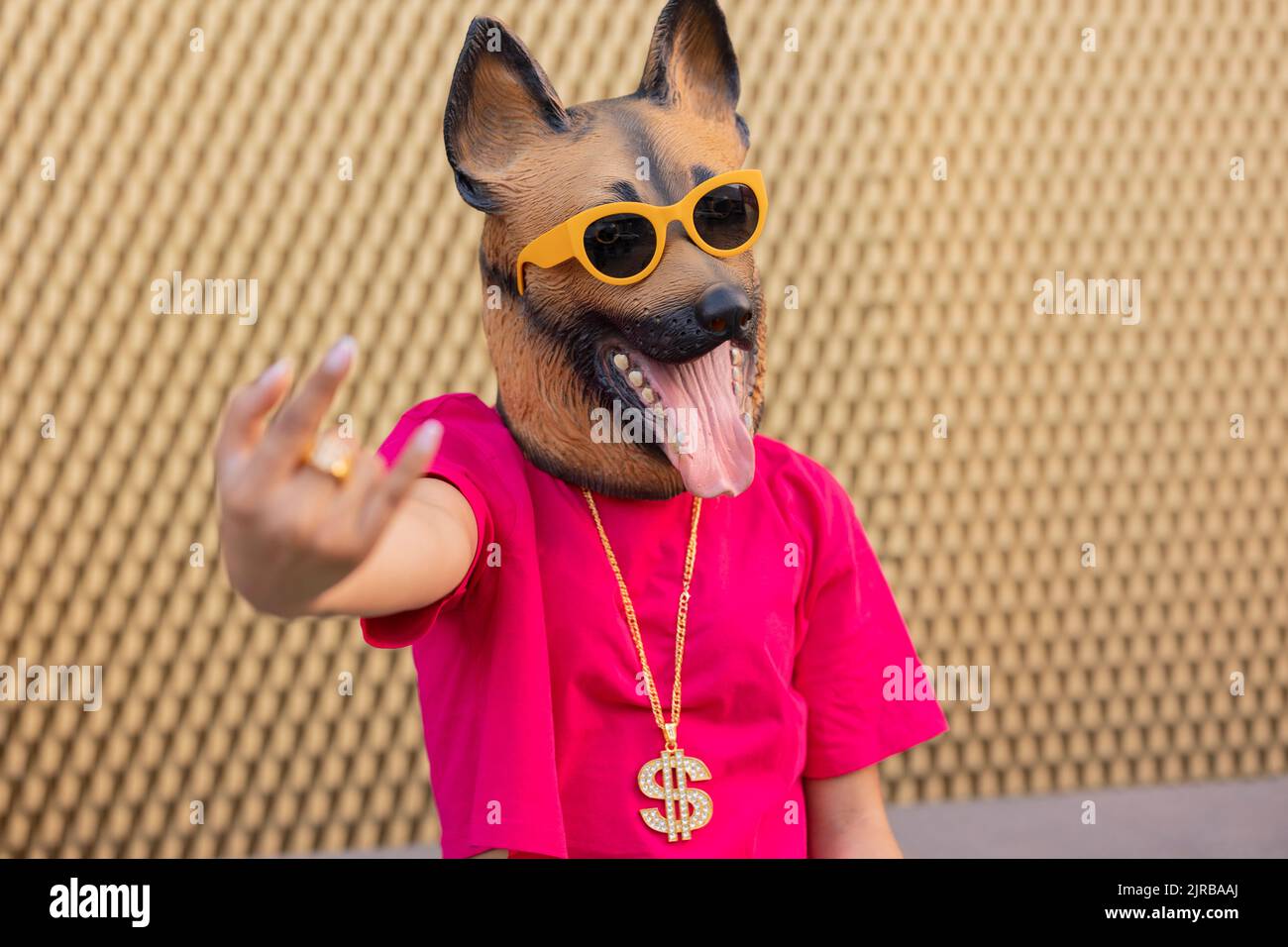 Giovane donna che indossa maschera per cani e occhiali da sole davanti al muro Foto Stock