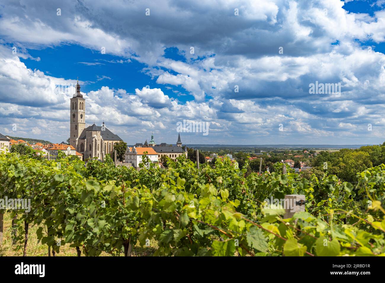 Vigneto panoramico con paesaggio urbano a Kutna Hora, Repubblica Ceca Foto Stock