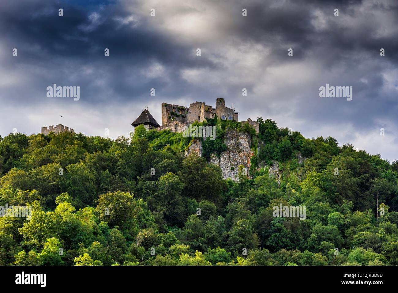 Slovenia, Savinja, Celje, rovine del castello di Celje sulla cima di una collina boschiva Foto Stock