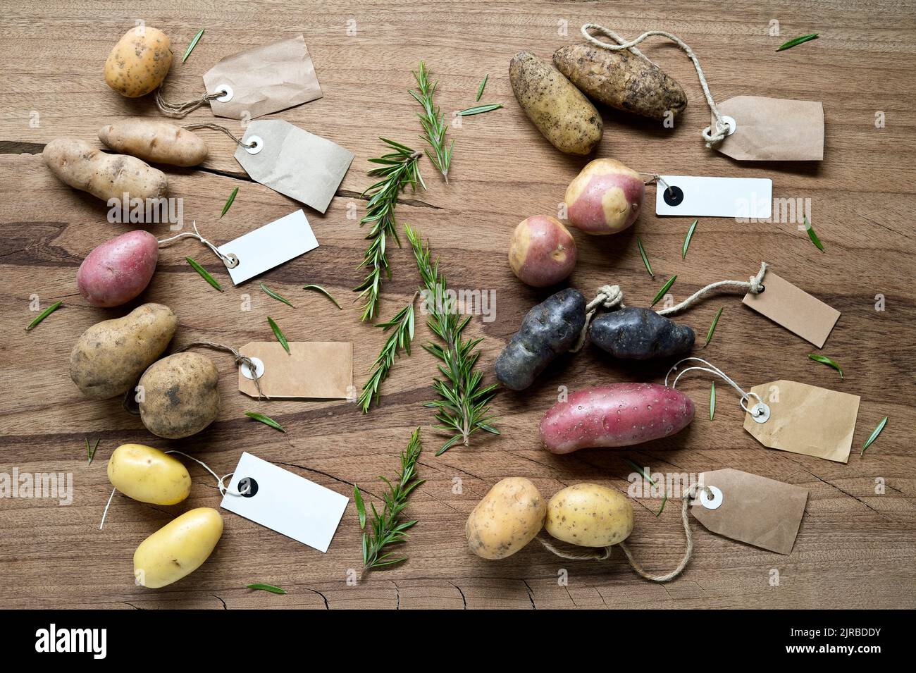 Studio shot di diverse varietà di patate etichettate piatto posato su sfondo di legno Foto Stock