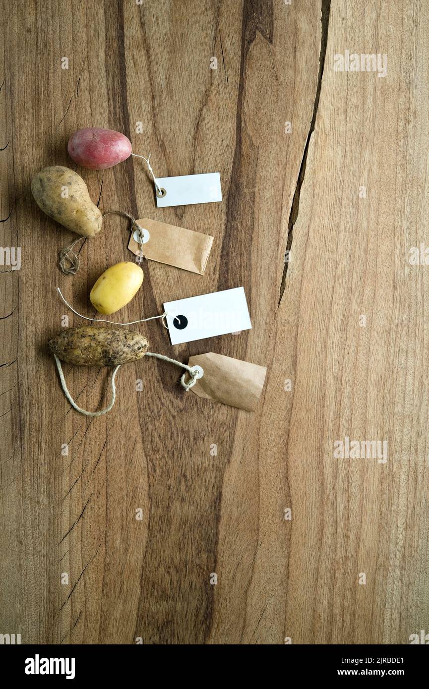 Studio shot di diverse varietà di patate etichettate piatto posato su sfondo di legno Foto Stock