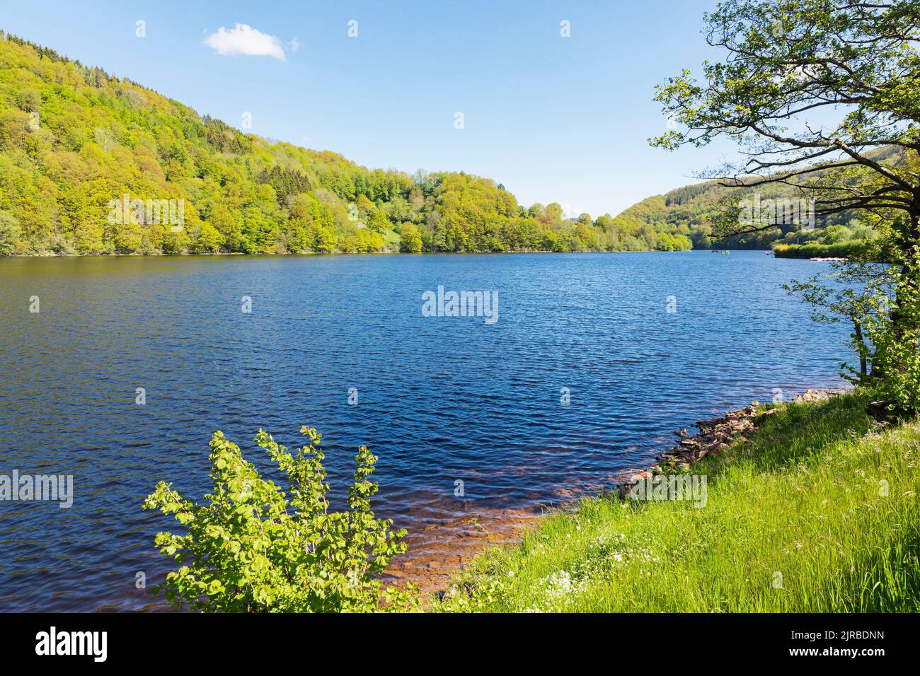 Vista sul lago in collina nelle giornate di sole, Parco Nazionale Eifel, Germania Foto Stock