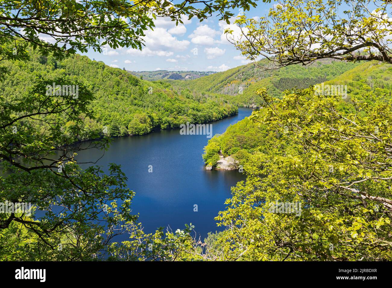 Lago Obersee tra verdi colline al Parco Nazionale di Eifel, Germania Foto Stock
