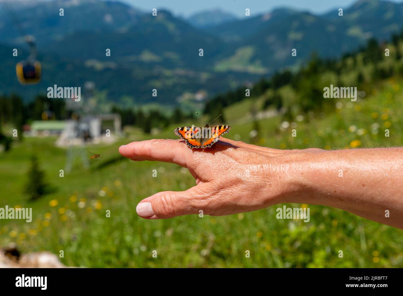 Farfalla a mano di donna anziana con paesaggio sullo sfondo Foto Stock