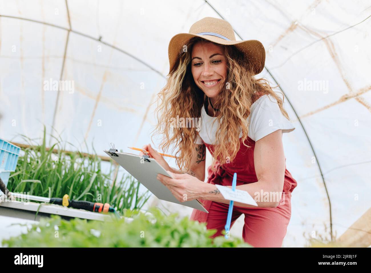 Coltivatore felice che esamina e che prende l'inventario delle verdure a serra Foto Stock