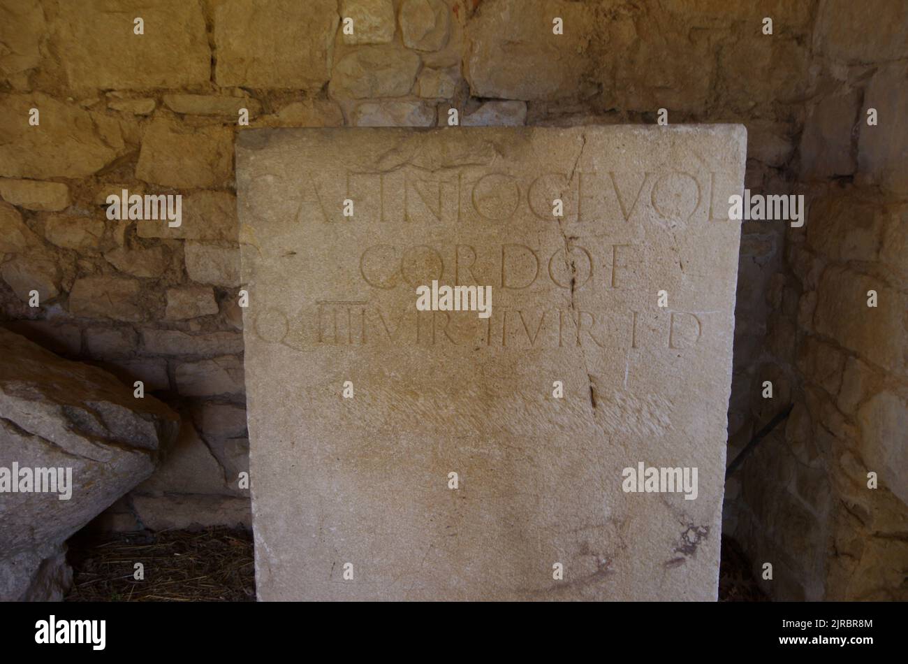 Resti di epigrafe, sito archeologico di Altilia, Sepino, Molise, Italia. Foto Stock