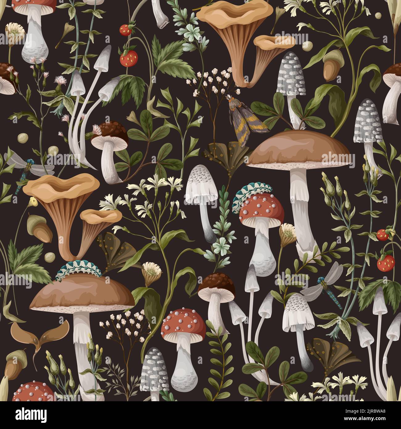 Modello autunnale senza cuciture con funghi, bacche e insetti. Stampa alla moda naturale. Illustrazione Vettoriale