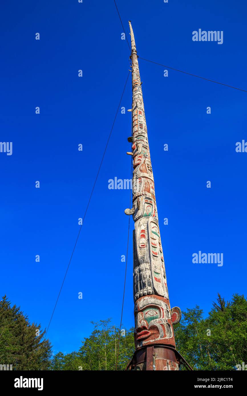 A 173 metri in altezza, il totem pole eretto accanto alla grande casa nella baia di avviso rivendica di essere le più alte del mondo. Foto Stock