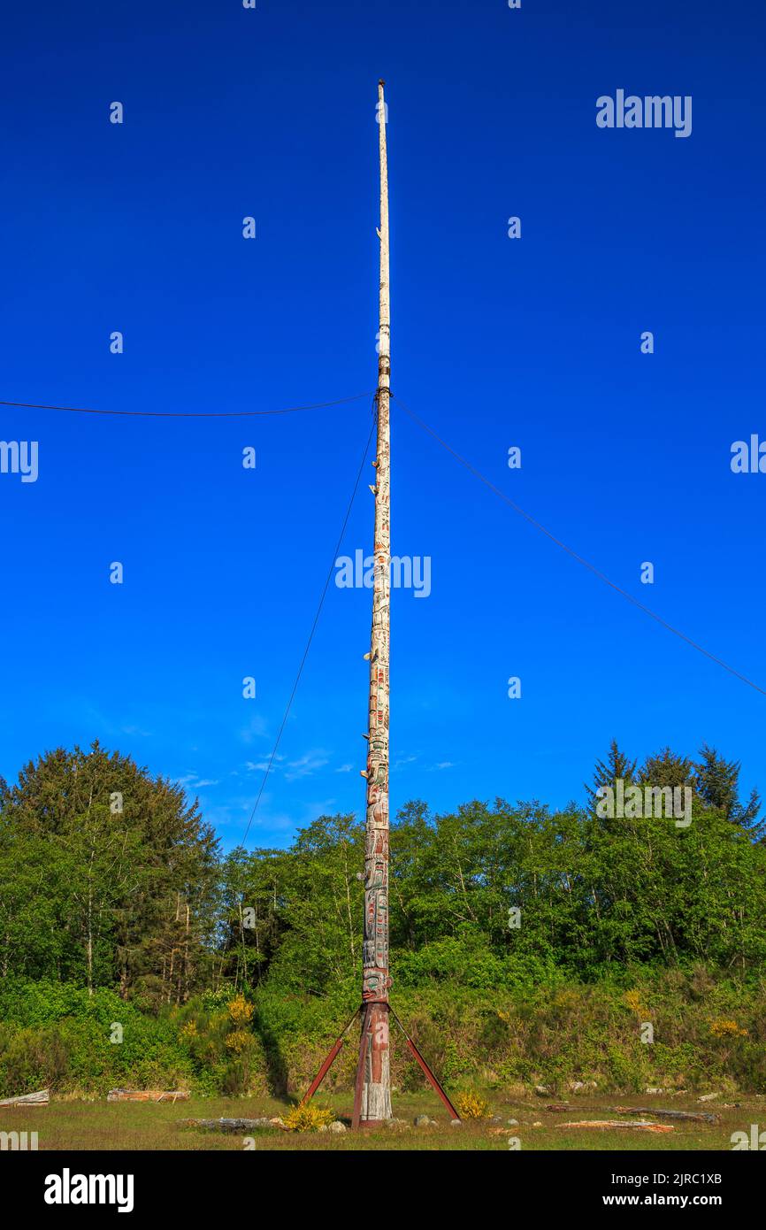 A 173 metri in altezza, il totem pole eretto accanto alla grande casa nella baia di avviso rivendica di essere le più alte del mondo. Foto Stock