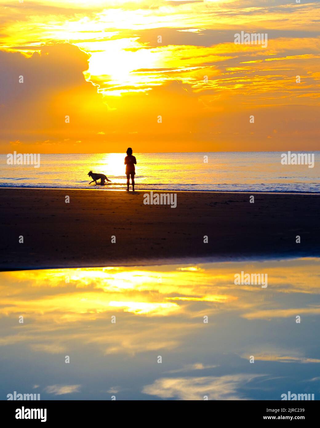 Persona in solita con cane sulla spiaggia all'alba, Hilton Head Island SC. Foto Stock