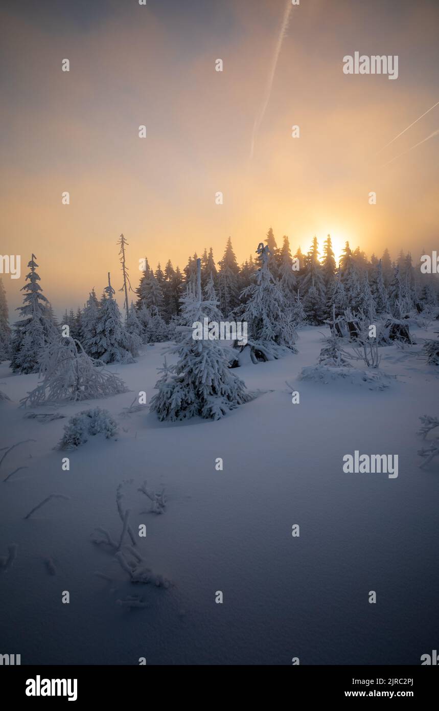 Verschneite Winterlandschaft zum Sonnenaufgang auf dem Dreisessel, Bayern, Deutschland. Foto Stock