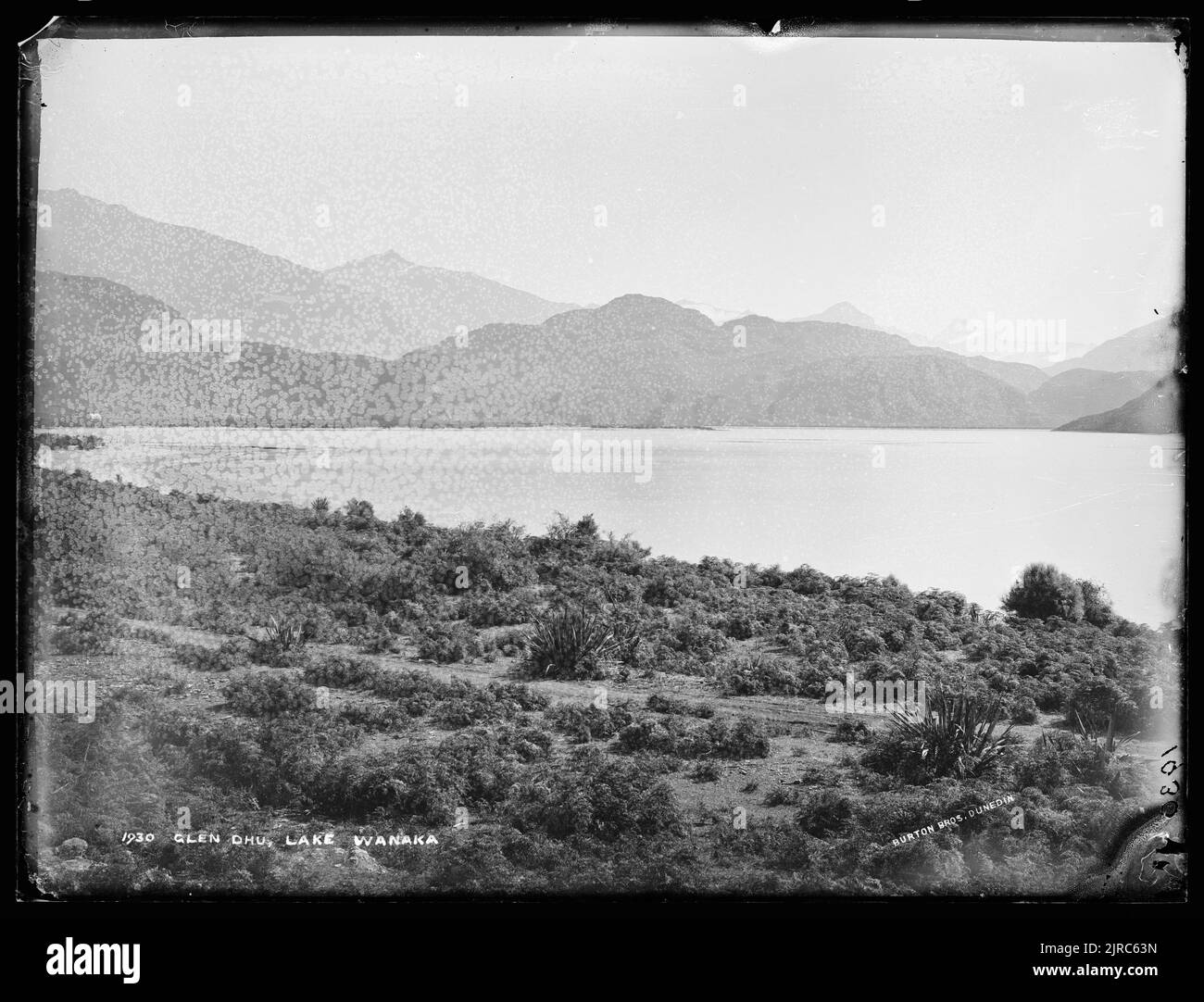 Glendhu, Lago Wanaka, Nuova Zelanda, di Burton Brothers. Foto Stock
