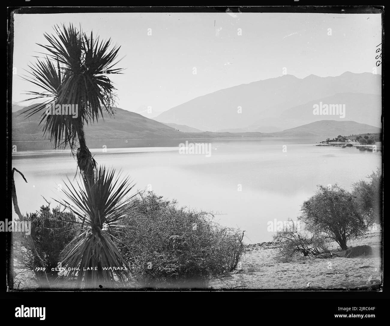 Glendhu, Lago Wanaka, Nuova Zelanda, di Burton Brothers. Foto Stock