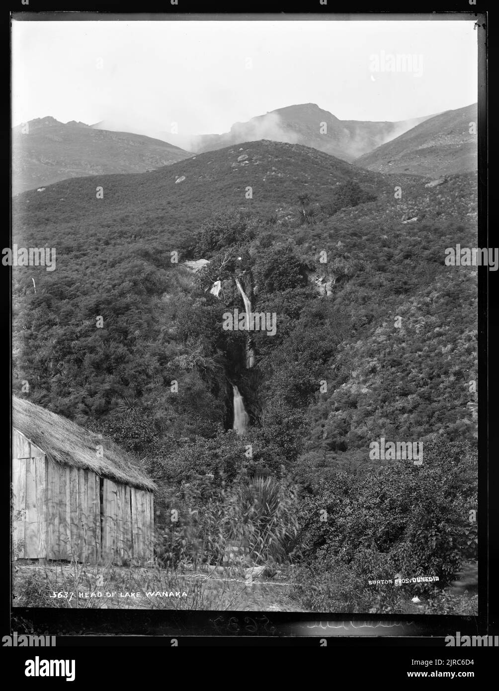 Capo del lago Wanaka, Nuova Zelanda, di Burton Brothers. Foto Stock