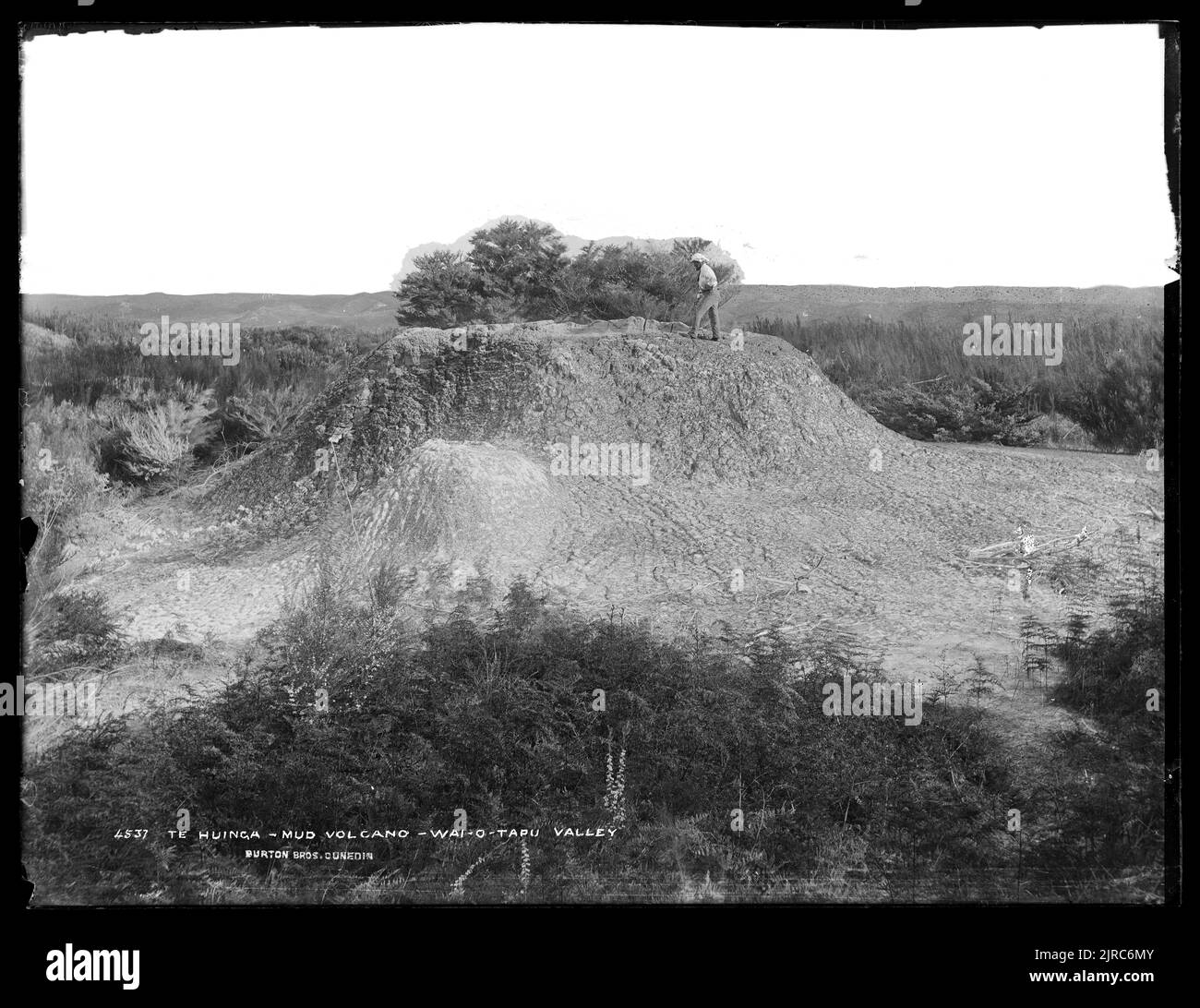 Te Huinga, vulcano di fango, valle di Waiotapu, Nuova Zelanda, di Burton Brothers. Foto Stock