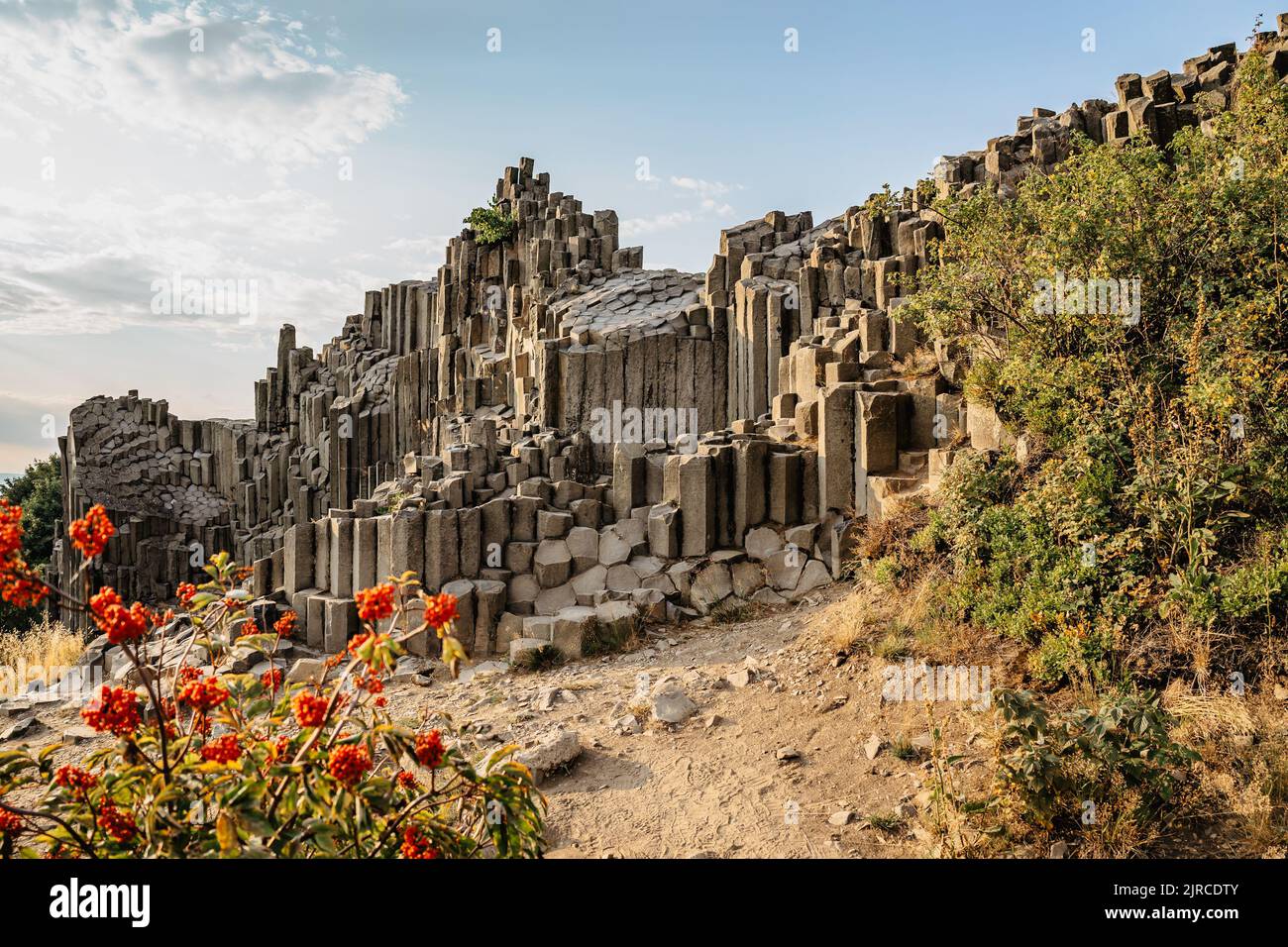 Basalto rock chiamato Panska skala o Varhany situato a Kamenicky Senov, repubblica Ceca. Sito protetto, nazionale naturale Monument.Five a sei lati colonna Foto Stock