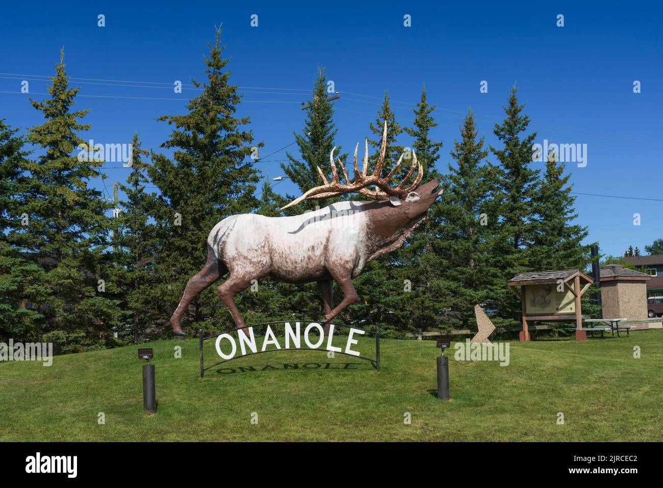 La statua di alce a Onanole, Manitoba, Canada. Foto Stock