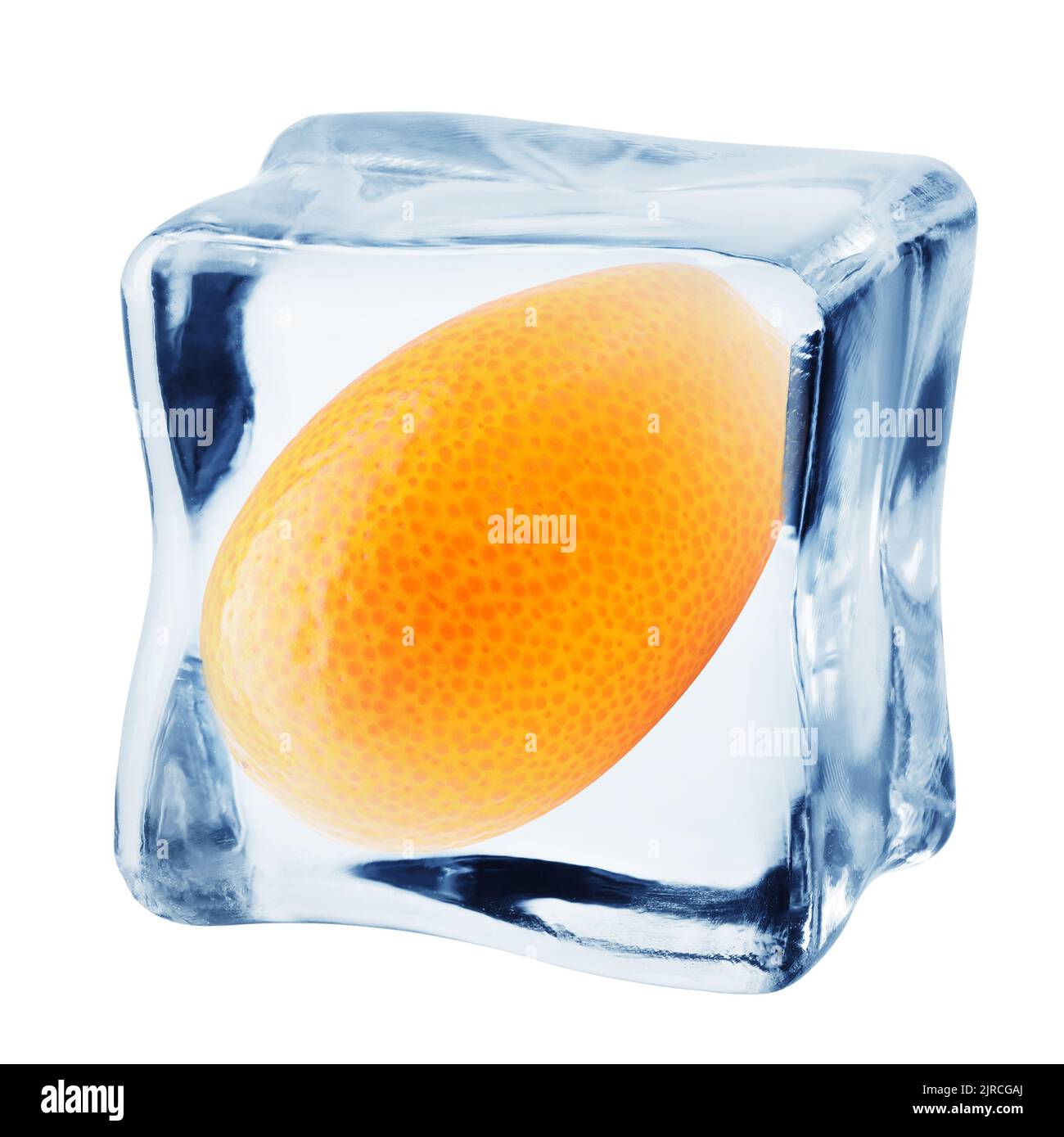 kumquat in cubetto di ghiaccio, isolato su sfondo bianco, tracciato di ritaglio, profondità di campo completa Foto Stock