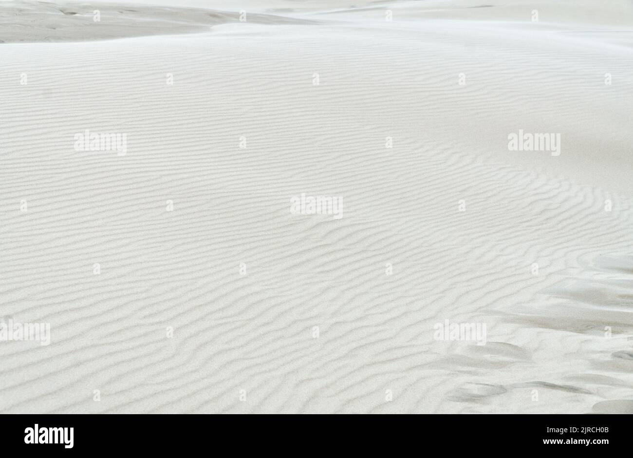 Superficie increspata di sabbia bianca. Naturale o astratto sfondo beige chiaro. Struttura di sabbia. Foto Stock