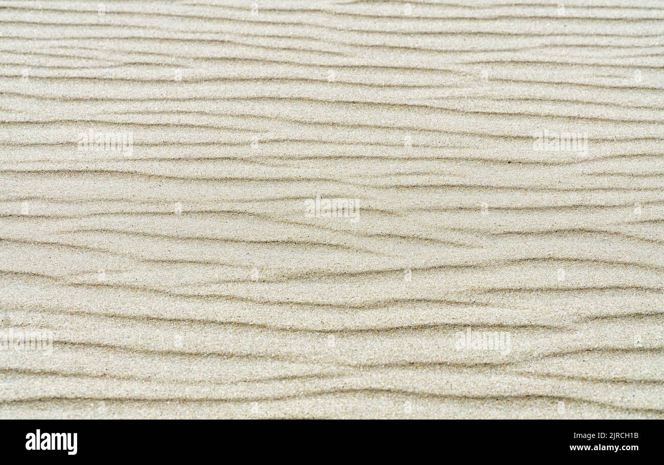 Increspature di sabbia leggera. Naturale, sfondo beige astratto. Struttura di sabbia. Vista dall'alto. Foto Stock