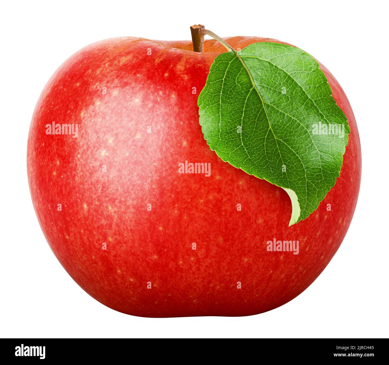 Rosso mela succosa isolati su sfondo bianco, percorso di clipping, tutta la profondità di campo Foto Stock